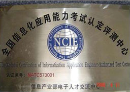 全国信息化应用能力